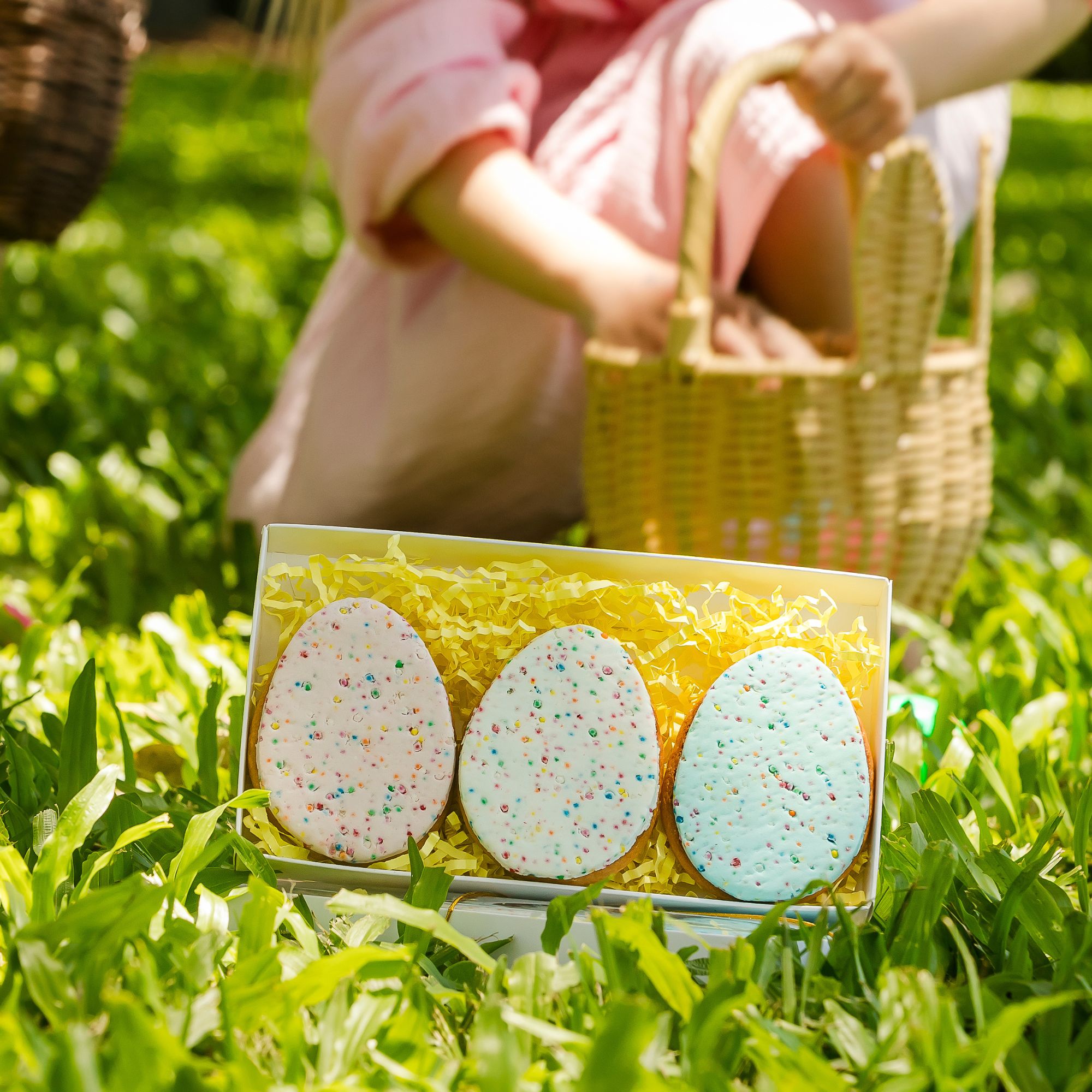 Springle Egg Hop into Easter Fun with Shingle Inn’s New Sprinkle Egg Biscuits ...